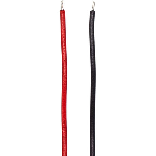 BW Gasalert Microclip Gas Detector Battery