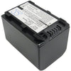 Sony DCR-SX30E Battery