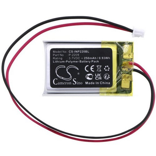 INT RASTER Memory Backup Battery