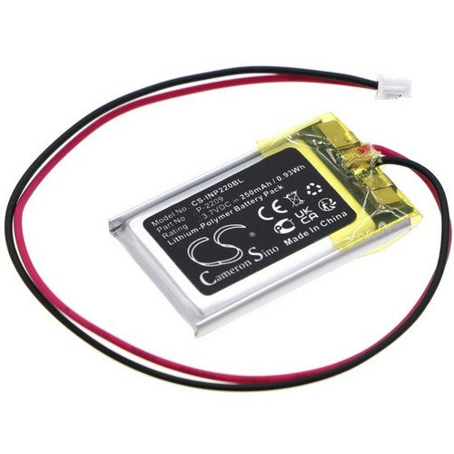 INT RASTER Memory Backup Battery