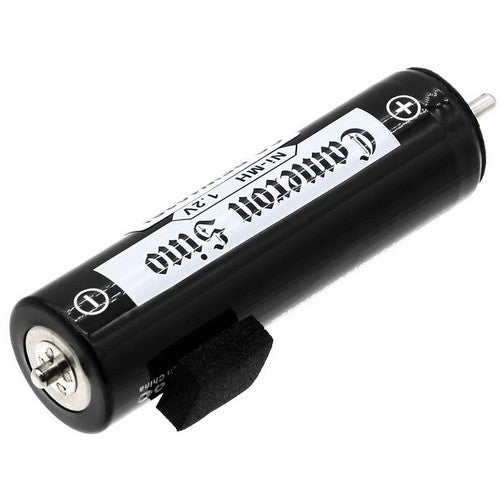 Panasonic EW1012 Battery