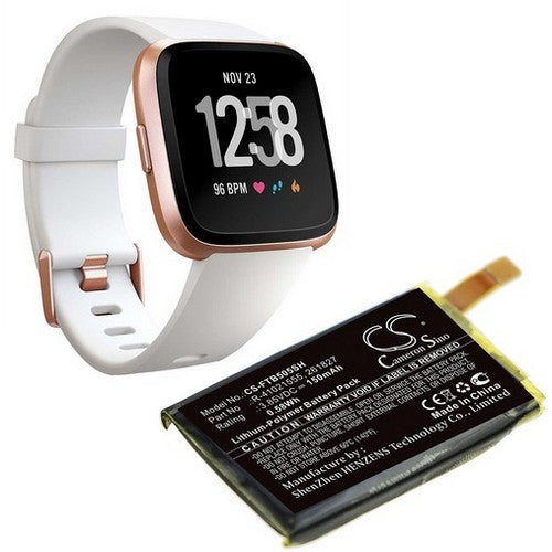 Fitbit R-41021555 Battery
