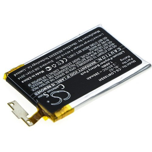 LG W100 Battery