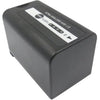 Panasonic VW-VBD29 Battery