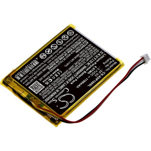 Sony XDR-P1DBP Battery